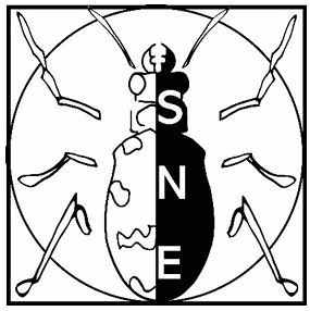 SNE